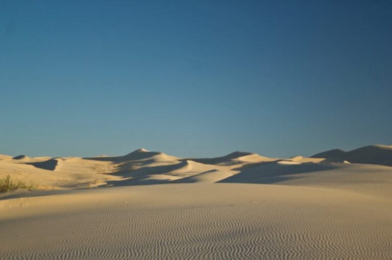 medanos